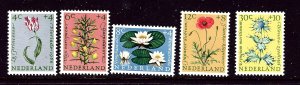 Netherlands B343-47 MNH 1960 Flowers  2017 CV $11.15