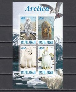 Malawi, 2010 Cinderella issue. Antarctica Fauna, Owl shown, IMPERF sheet of 4.