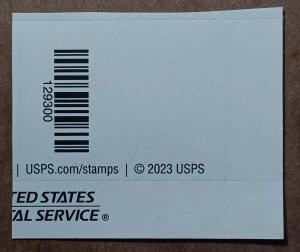 United States #5828 $30.45 Cosmic Cliffs Express Mail MNH (2024)
