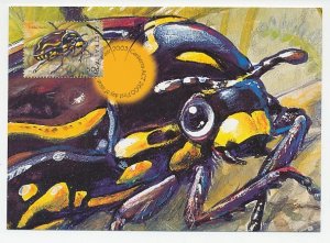 Maximum card Australia 2003 Fiddler Beetle