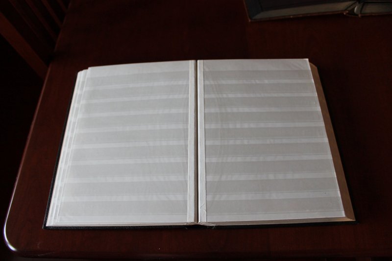 Two (2) Empty Stock Books with Clear Faced Double Sided Pages with Interleaves