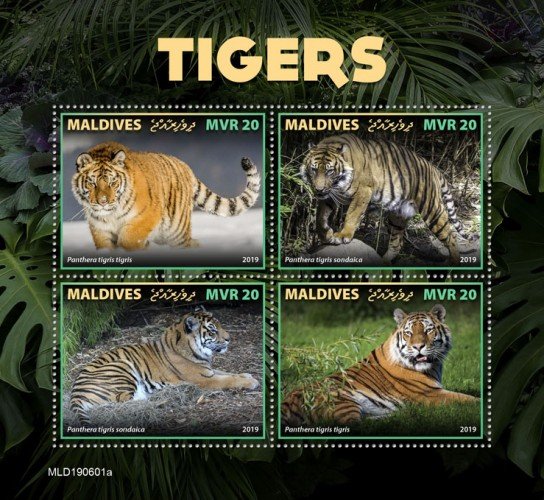 MALDIVES - 2019 - Tigers - Perf 4v Sheet - MNH