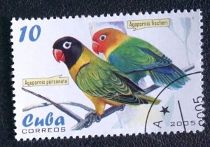CUBA Sc# 4467  PARROTS tropical birds  10c    2005  used / cto
