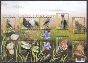 Belgium, Fauna, Birds, Animals, Nature / MNH / 2017