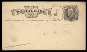 USA 1881 Savannah Maltese Cross Star New York Postal Card Cover 96358