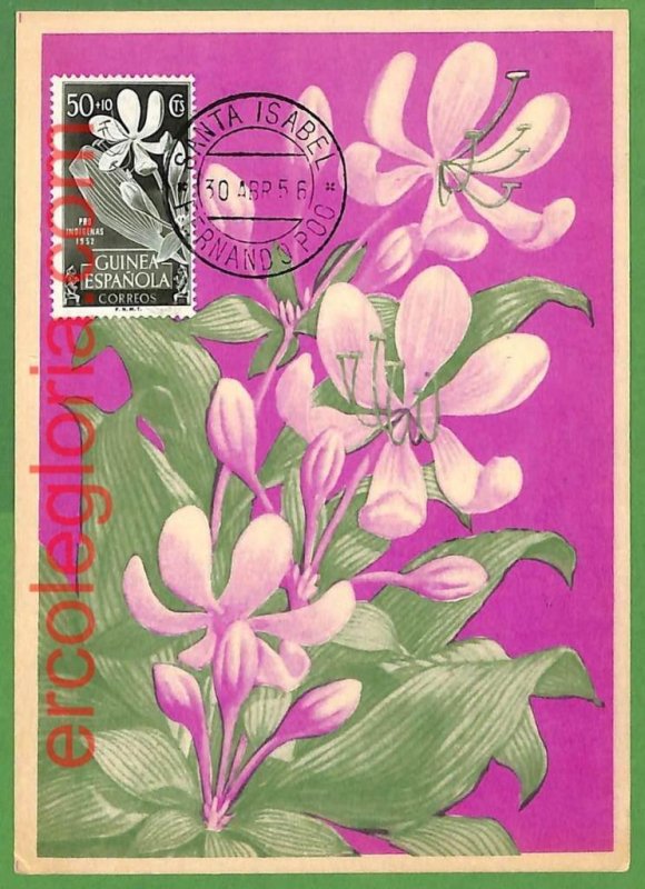 32466 - Spanish Guinea - MAXIMUM CARD - 1956 - Flowers-