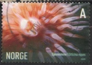 Norway 1441 (used) “A” rate rose anemone (Urticina eques) (2005)