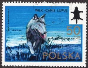 Poland 1971 - Cto - 50g Wolf (1973)