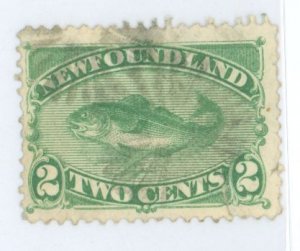Newfoundland #47