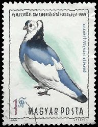 HUNGARY   #2016 USED (1)