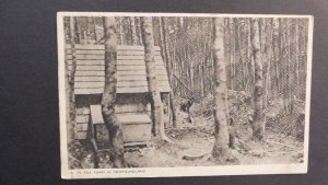 1925 Postcard Cover Hembley Middlesex England Harrow Fox Farm Newfoundland 