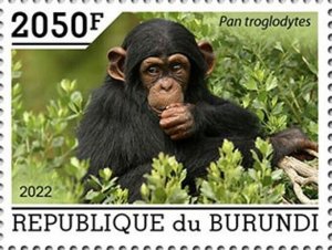 Burundi - 2022 Chimpanzees on Stamps - Stamp - BUR2201029a