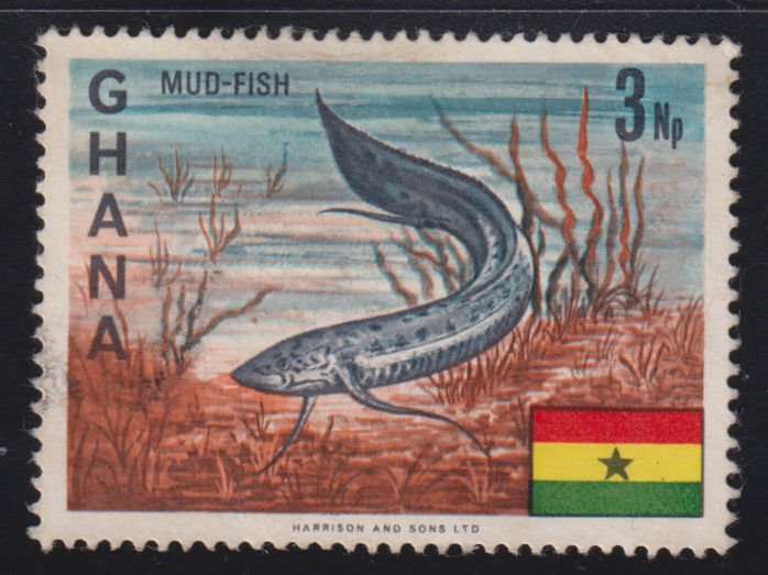 Ghana 290 African Lungfish 1967