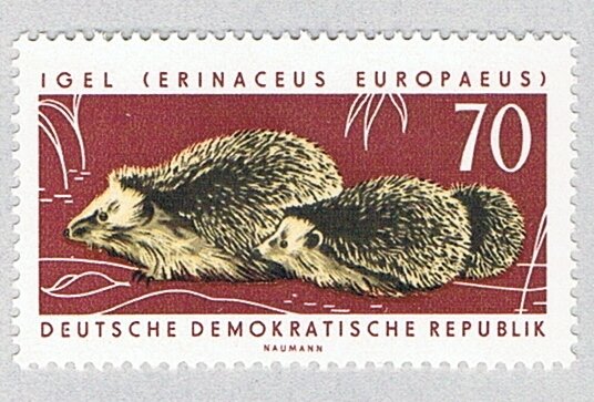 Germany DDR 667 MNH Northern Hedgehog 1963 (BP81917)