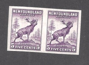 Canada NEWFOUNDLAND # 190a VF MINT IMPERFORATE PAIR DIE I BS27771