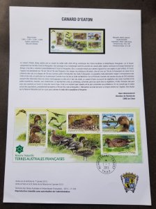 France Antarctic TAAF Eaton's Pintail Duck 2013 Bird Fauna (stamp on info sheet)