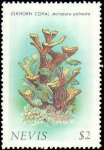 Nevis #503-506, Complete Set(4), 1986, Marine Life, Never Hinged