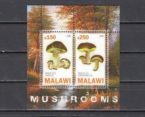 Malawi, 2010 Cinderella issue. Mushrooms sheet of 2.