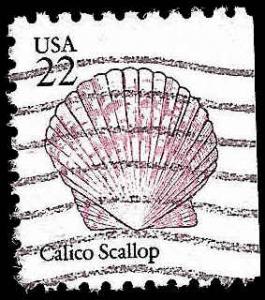 # 2120 USED CALICO SCALLOP