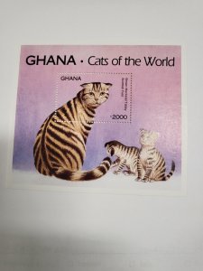 Stamps Ghana Scott #1685 nh