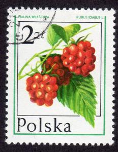 Poland 2203 - CTO-H - Raspberry