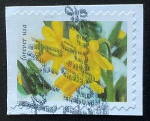 US #5735 Used Booklet Single OP Daffodils