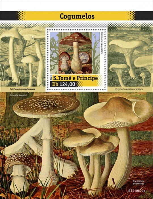 SAO TOME - 2021 - Mushrooms - Perf Souv Sheet - Mint Never Hinged