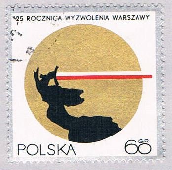 Poland Sword 60 (AP115802)