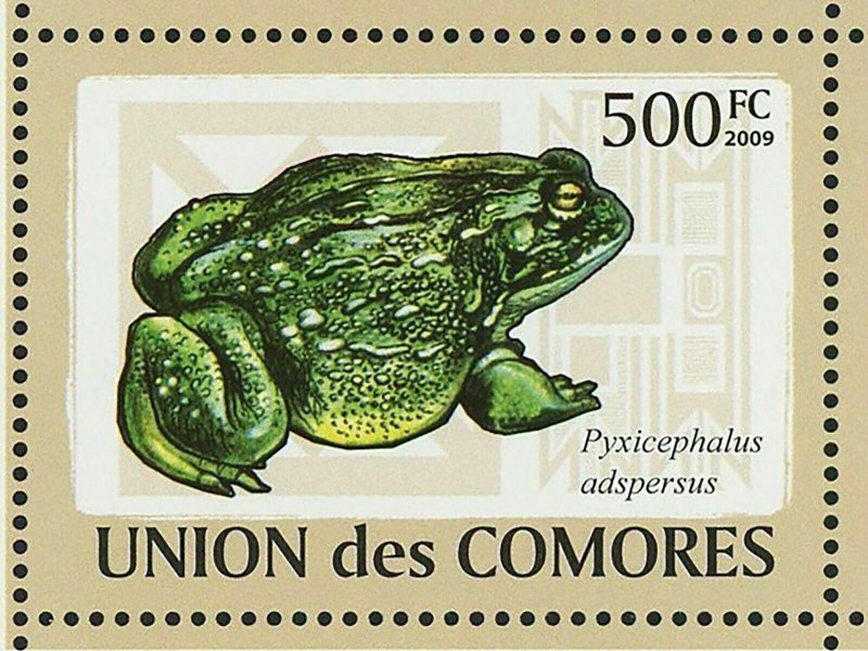 Frogs Stamp Xenopus Laevis Mantella Aurantiaca Pyxicephalus S/S MNH #2163-2168 