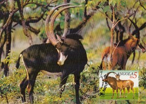 Angola 1990 Maxicard Sc #782 5k Giant sable antelope Adult male, female WWF