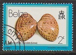 1980 Belize - Sc 472 - used VF - Macrocallista Maculata