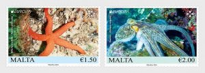 Malta 2024 Europa CEPT Undewater Fauna Octopus Starfish set of 2 stamps MNH