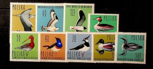 Poland Sc 1231-9 MNH Set of 1964 - Birds