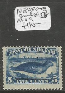 Newfoundland Seal SG 3 MOG (8cqp)