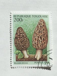 Togo – 2000 – Single Mushroom Stamp – SC# 1938C - Used