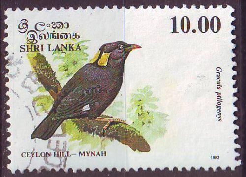 CEYLON SRI LANKA [1993] MiNr 1036 ( O/used ) Vögel