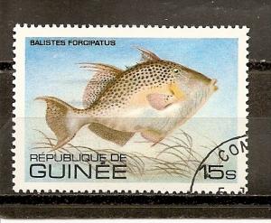 Guinea 806 CTO