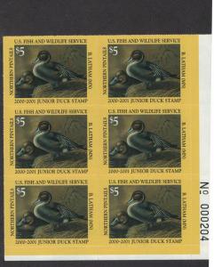 JDS8 - Junior Federal Duck Stamp. Plate Block Of 6. MNH. OG.   #02 JDS8PB6BR