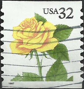 # 3054 USED YELLOW ROSE