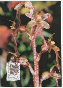 Maximum card Greenland 1996 Orchid