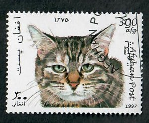 Afghanistan Manx Cat CTO single from 1999