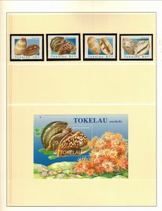 TOKELAU Sc 232-6 NH ISSUE OF 1996 - SET+S/S - SEA SHELLS - (WG06)