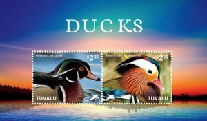 Tuvalu - Ducks Stamp - Souvenir Sheet MNH