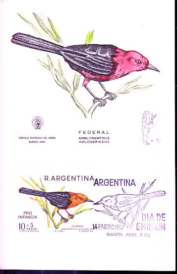 Argentina #B49  Maximum Card  Bird