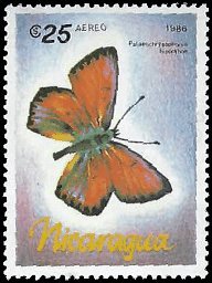 NICARAGUA   #1572 MNH (4)