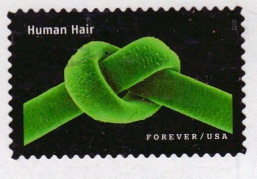 New 2023 - 66c - Life Magnified, Human Hair - 3 of 20 - Used Off Paper