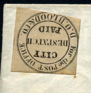 Scott #15L8 D.O. BLOOD & CO. Local Stamp on Nice Cover (Stock: #15L8-1)