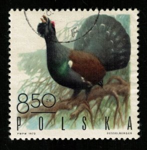 1970 Bird 8.50Zl (TS-709)