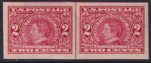 371 U.S. 1909 William H. Seward pair 2¢ imperf centerline issues MNH CV $65.00