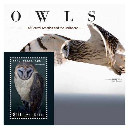 SAINT KITTS 2015 - OWLS  STAMP - SOUVENIR STAMP SHEET - MNH
